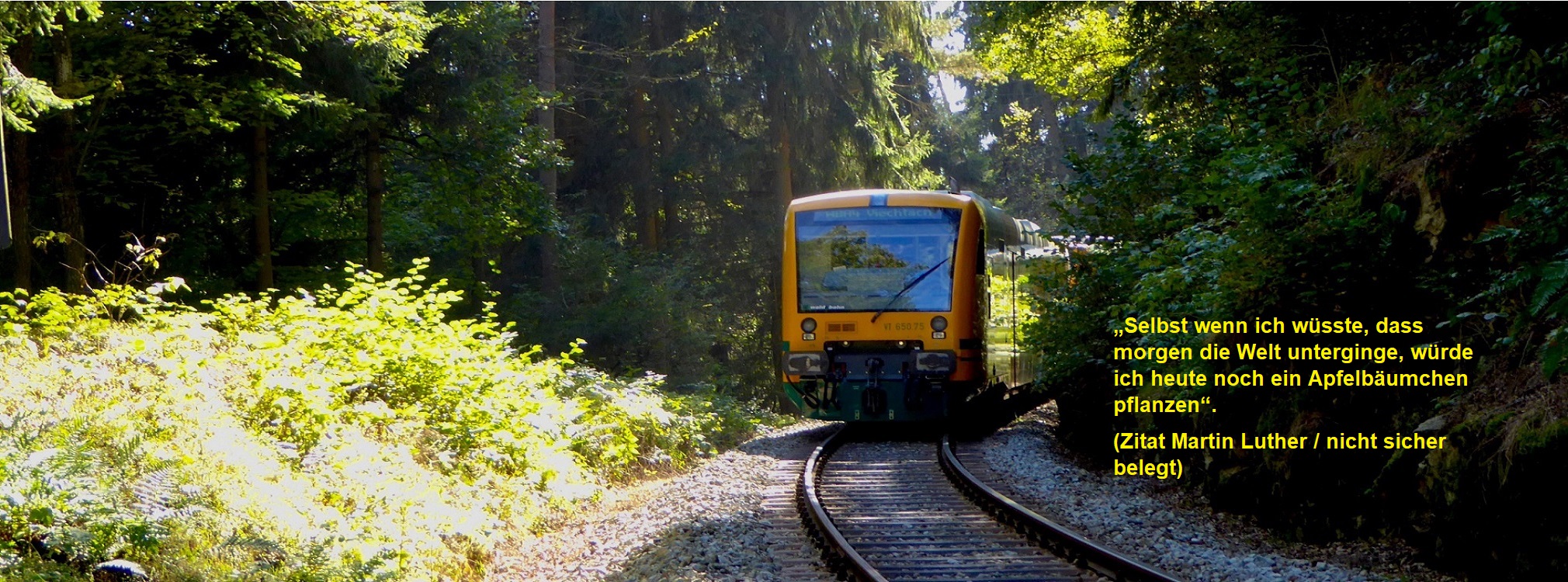 Waldbahn-Triebwagen der Linie WBA 4
